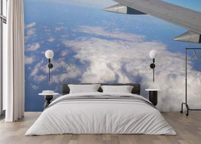 flying Wall mural