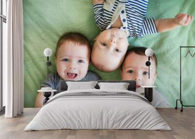 Portrait of newborn triplets are lying in the bed Wall mural