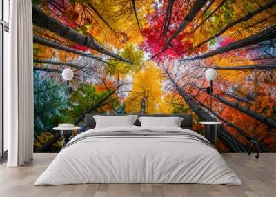 Breathtaking Autumn Canopy with Vibrant Red, Orange, and Yellow Foliage in Lush Forest Wall mural