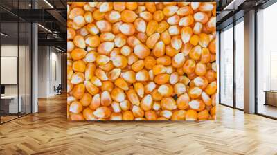 corn seeds background Wall mural