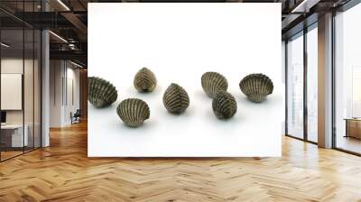 Fresh cockles on white background Wall mural