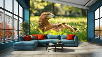 Majestic Golden Eagle in a Lush Meadow with Sunlit Background Stunning Wildlife Photography Capturing Nature s Beauty and Grace Perfect for Nature Enthusiasts and Wildlife Lovers Wall mural