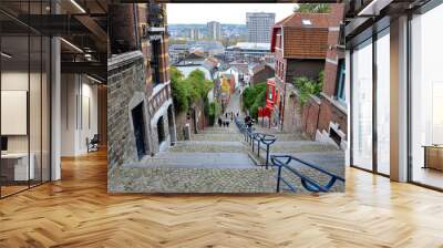 View from the stairway of the Montagne de Bueren downwards Wall mural