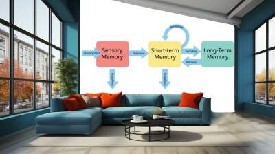 three stages of memory from sensory memory to short term memory and long term memory Wall mural