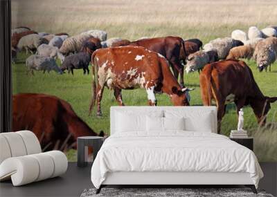 Livestock Wall mural