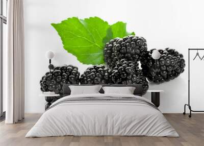 Blackberries isolated on white background Wall mural