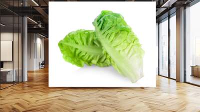 fresh baby cos (lettuce) on white background. Wall mural