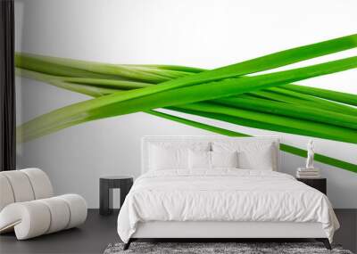 Garlic chives isolaed on white background Wall mural