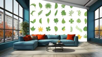 leaf vector set collection graphic design Wall mural