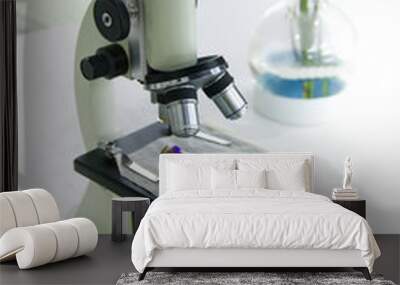 Microscope in plant cell lab for research and tissue culture technology laboratory,selective focus. Wall mural