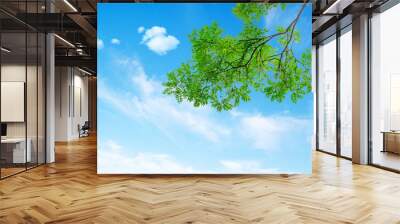 Green tree leaves on blue sky background Wall mural