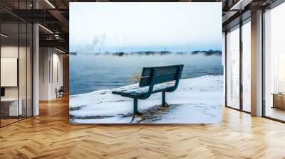 winter: Cold day by the river Wall mural