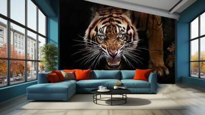 portrait of a tiger Wall mural