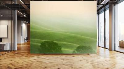 Hilly landscape of Tuscany Wall mural