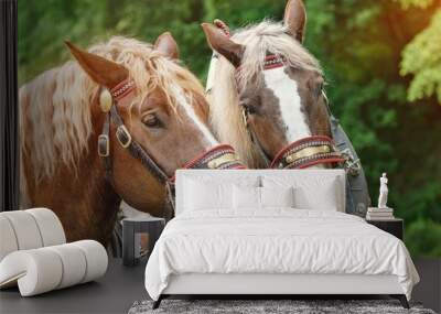 the heads of two brown horses Wall mural