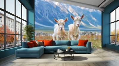 Two cute little baby goats are playing in a wide field, mountain background Wall mural