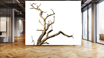 Branch of dead tree with clipping path isolated on white background. Wall mural