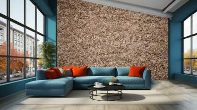 dry grass Wall mural