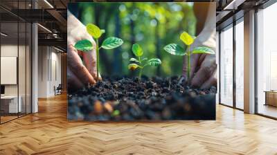 Two men planting a tree concept of world environment day  Wall mural