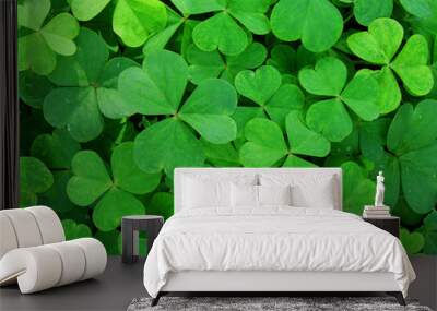  st. patrick's day background Wall mural