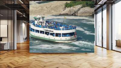 maid of the mist Wall mural