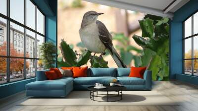 mockingbird 1 Wall mural