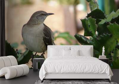 mockingbird 2 Wall mural