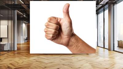 Thumb Up Okay Male Man's Hand, Cut-out Isolated on Transparent Background Wall mural