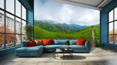 Panoramic view of Mount Ciucas on summer Wall mural