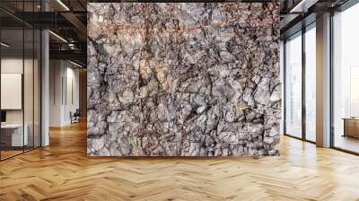 Ground, Wall surface texture for decoration background Wall mural