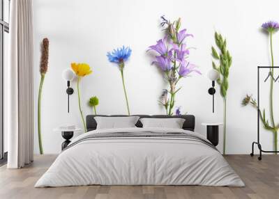 closeup of wild grass and flowers on white background Wall mural