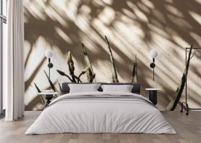 Palm leaf beautiful shadows on the wall. Creative, minimal, styled concept for bloggers. Wall mural