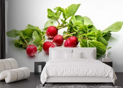 Five whole red radish with fresh green leaves isolated on white background. Wall mural