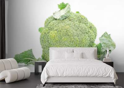 One whole fresh green broccoli isolated on white background Wall mural