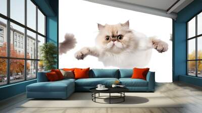 A trio of funny flying  grumpy Persian cats isolated against a transparent background, showcasing their fluffy fur and distinct personalities Wall mural