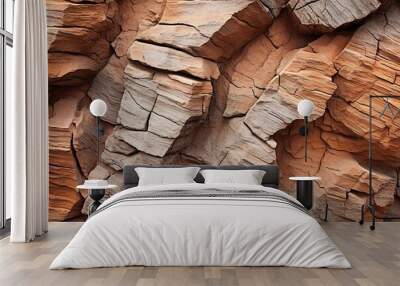 Natural Textures: Stone and Bark Patterns in Abstract Wall mural