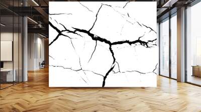 Sketch crack texture. Ground cracks, breaks on land surface from earthquake. old wall background crack vector. Wall mural