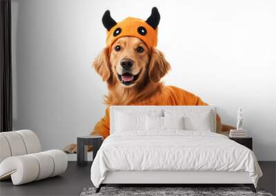 funny golden retriever dog posing for halloween in a costume isolated on white background, vintage, png Wall mural