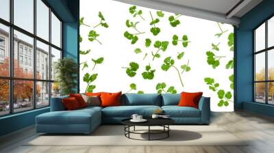 Set of Falling Coriander leaf, isolated on transparent background PNG Wall mural