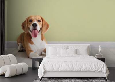 Adorable Beagle dog lying with bowl of dry food near green wall at home Wall mural