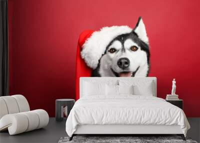 Adorable husky dog in Santa hat on color background Wall mural