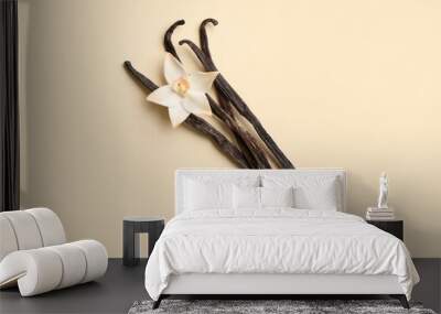 Aromatic vanilla sticks and flower on color background Wall mural