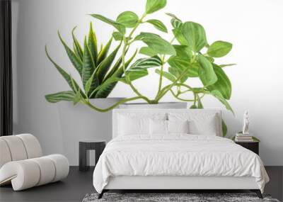 Artificial plants on white background Wall mural