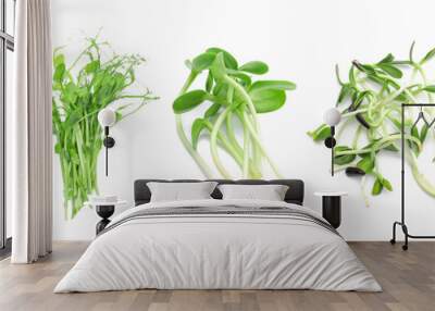 Assortment of healthy micro greens on white background, top view Wall mural