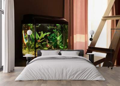 Beautiful aquarium on table in room Wall mural