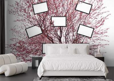 Beautiful blossoming tree on white background Wall mural