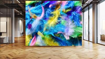 Beautiful bright feathers as background Wall mural