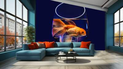 Beautiful gold fish in bowl on black background Wall mural