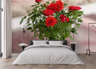 Beautiful red roses in pot on table Wall mural