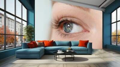 Beautiful young woman after eyelashes lamination and dyeing, closeup Wall mural